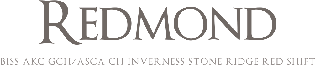 Arts Clipart (1200x400), Png Download