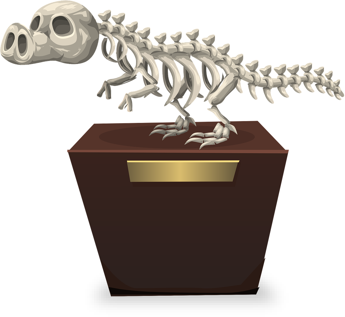 Dinosaur Skeleton Paleontology - Cute Fossil Clipart (1202x1280), Png Download