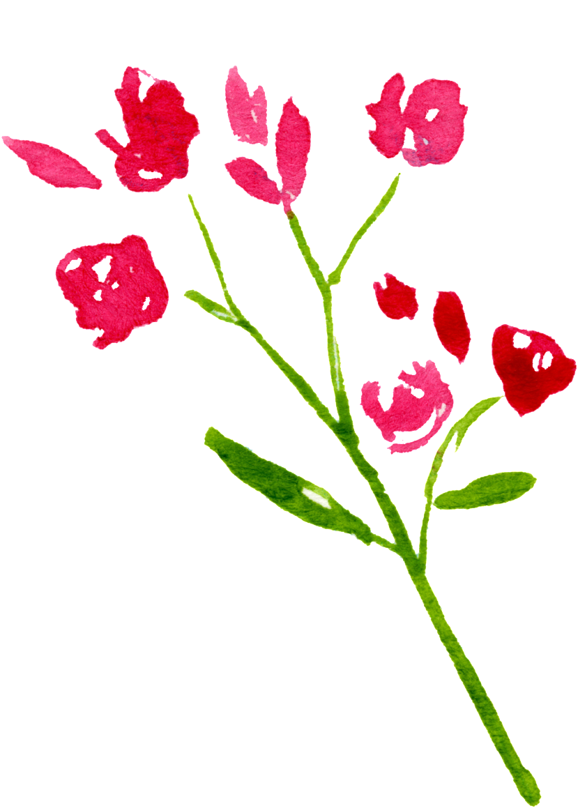 Red Flower Leaf Cartoon Transparent - Gilliflower Clipart (829x1159), Png Download