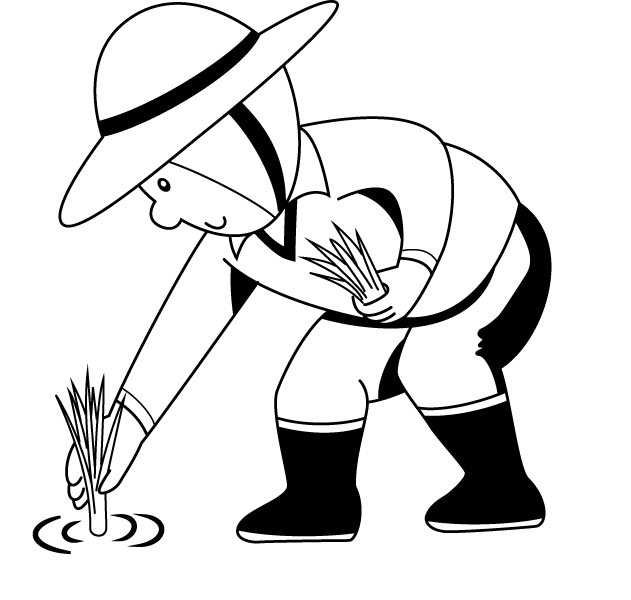 Rice Plant Colouring Pages - Biparental Mating Clipart (631x600), Png Download