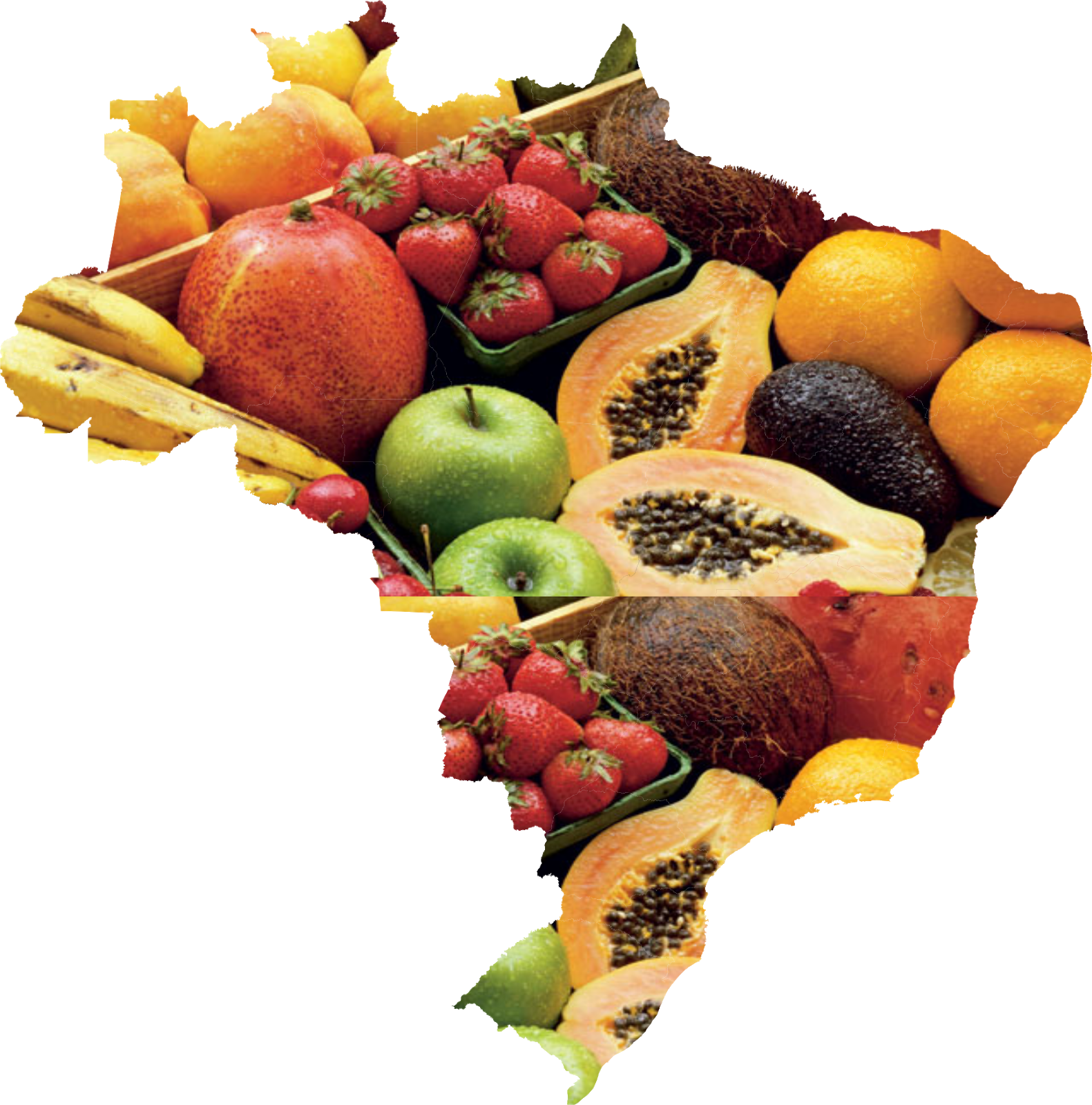 Mapas Das Frutas - Keep Your Body Healthy Clipart (1581x1600), Png Download