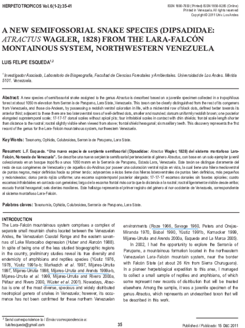 A New Semifossorial Snake Species From The Lara-falcón - Key Informant Selection Example In Research Clipart (600x776), Png Download