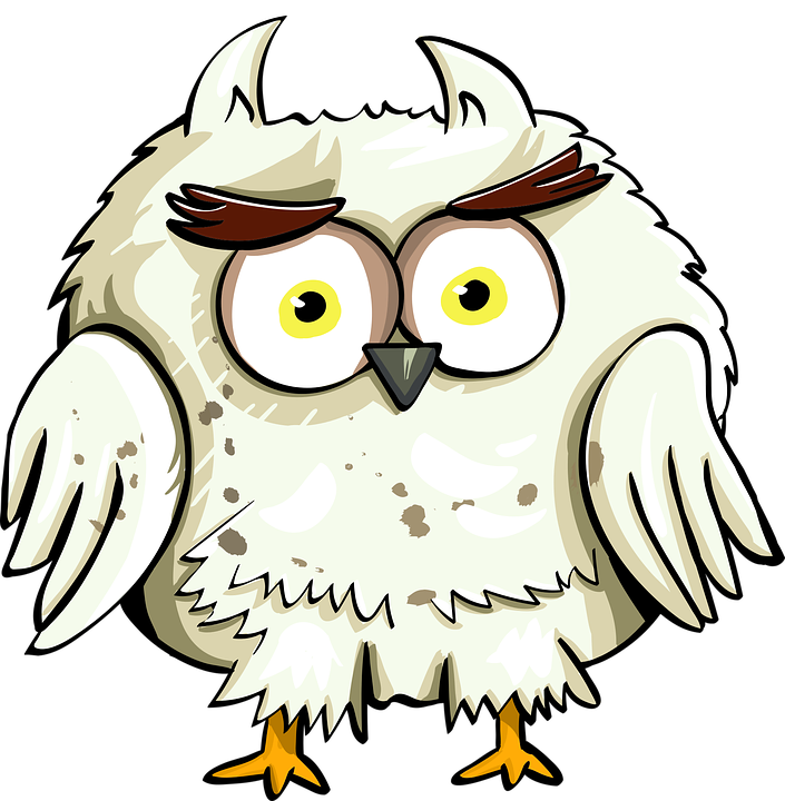 Owl Bird Eyes Cartoon Good Character Cute Animal - Harry Potter Fan Art Clipart (705x720), Png Download