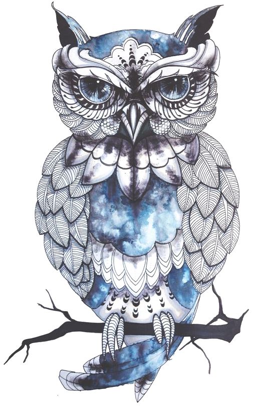 Owl Little Tattoo Flash Idea Cartoon Clipart - Blue Owl Transparent Background - Png Download (564x820), Png Download