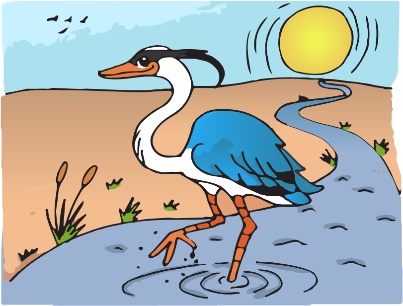 Clipart Wallpaper Blink - Water Bird - Png Download (1080x720), Png Download
