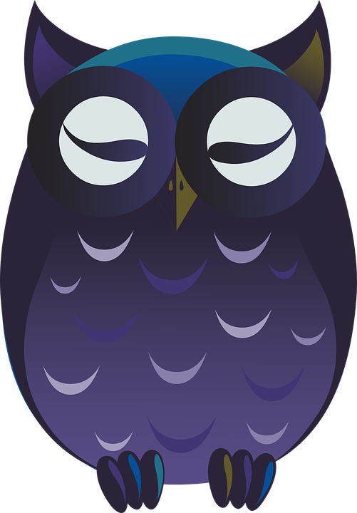 Owl Purple Cartoon Cute Perched Bird Wildlife - นก ฮูก Clipart - Png Download (501x720), Png Download