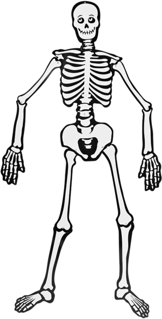Decoración Para Halloween - Esqueleto Para Decorar Halloween Clipart (1200x1200), Png Download