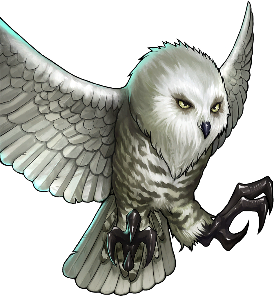 Artwork - - Snowy Owl Transparent Owl Clipart (1024x1024), Png Download
