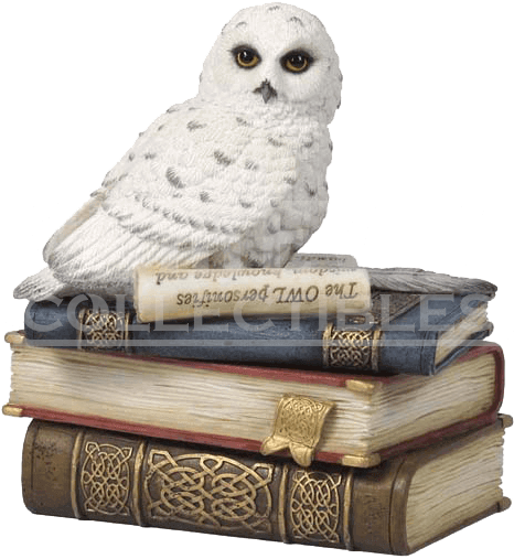 Owl On Books Clipart (558x558), Png Download