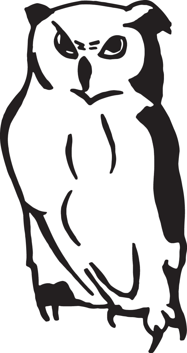 Barn Owl Decal Clipart (600x1132), Png Download