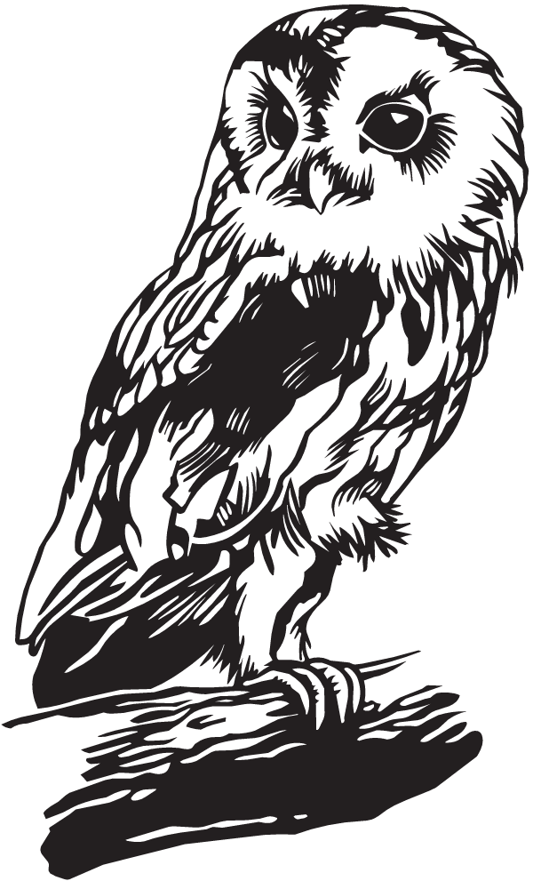 Dc13076 - Stickers Harry Potter Hedwige Clipart (600x991), Png Download