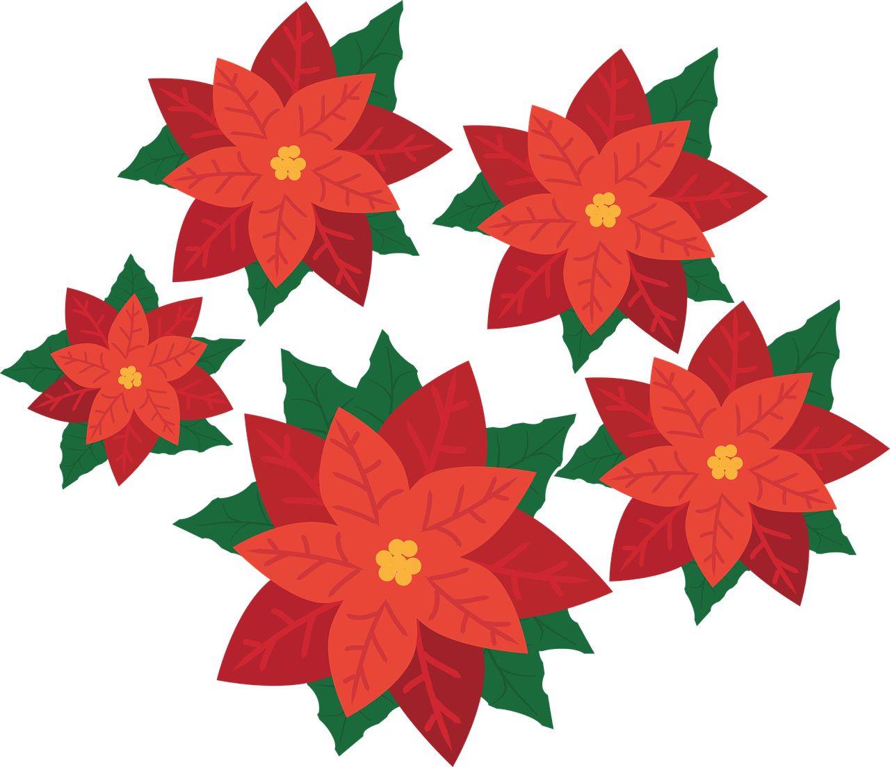 Flower - Poinsettia Clipart Transparent - Png Download (1280x1104), Png Download
