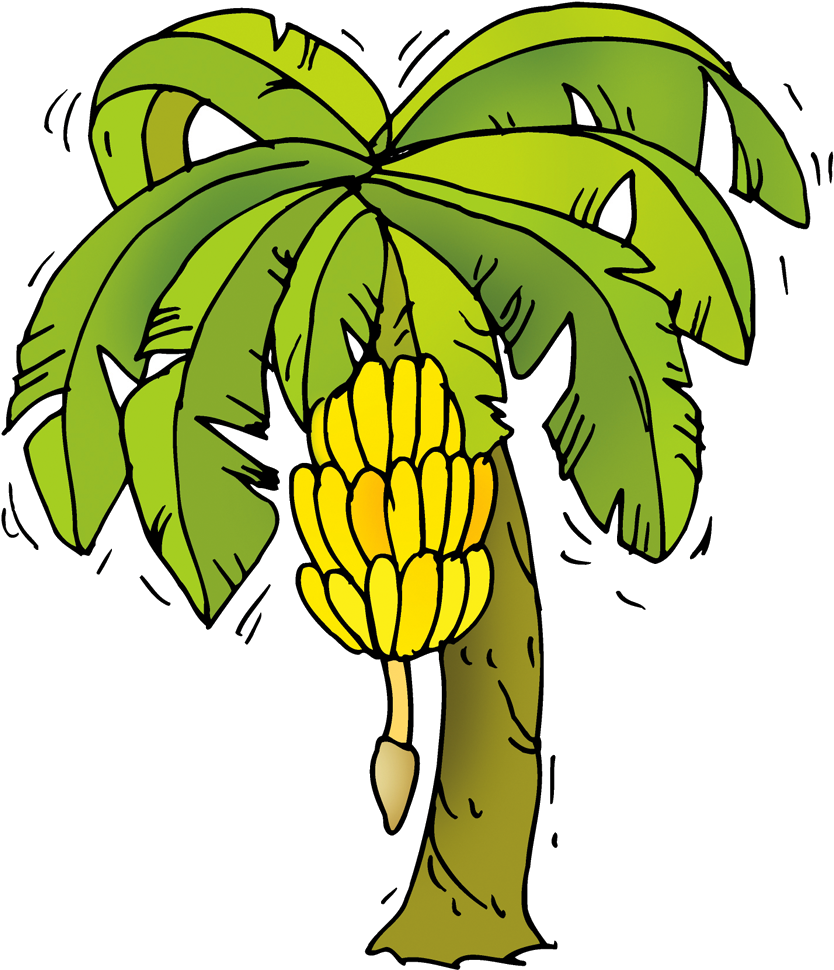 Download Banana Tree Cartoon Png Banana Tree Clipart Png Transparent