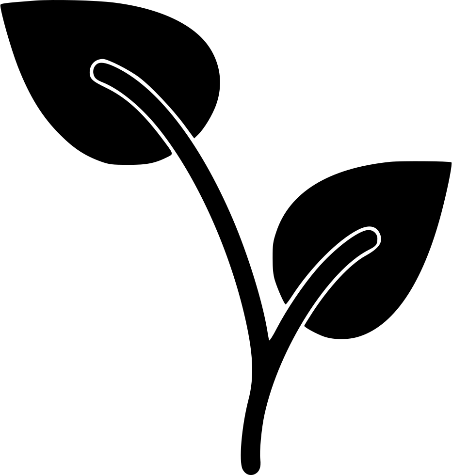 Growing Plant Comments Clipart (932x980), Png Download