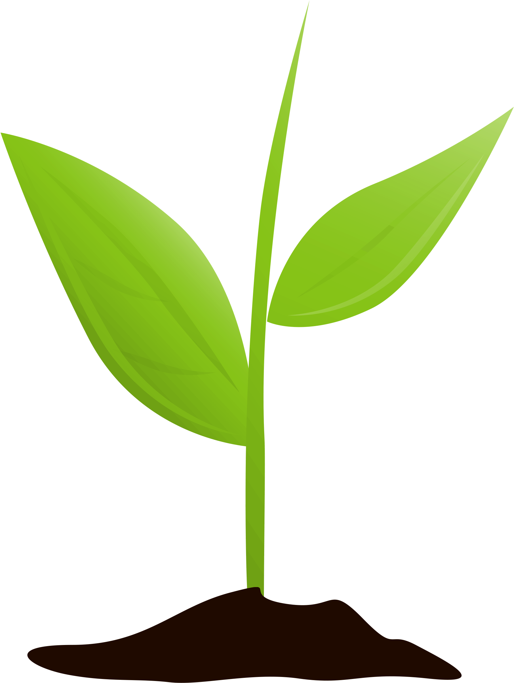 Growing Plant Mtq Clipart (1786x2371), Png Download