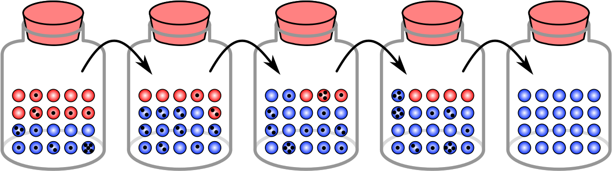 Random Sampling Genetic Drift - Random Sampling And Genetic Drift Clipart (1280x379), Png Download