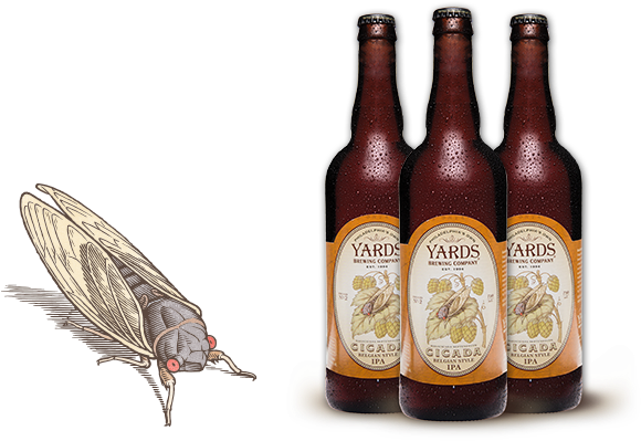 Yards Brewing Co - Beer Bottle Clipart (880x440), Png Download