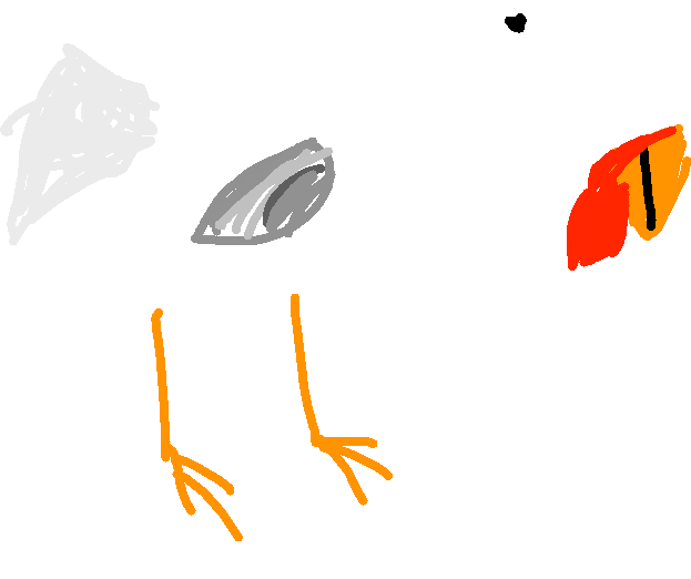 Chiken - Drawing - Illustration Clipart (623x522), Png Download