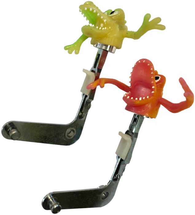 True Frog Clipart (635x700), Png Download