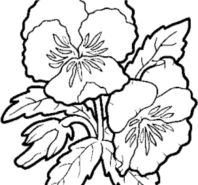 Download By Size - Colorless Flower Clipart (1024x600), Png Download