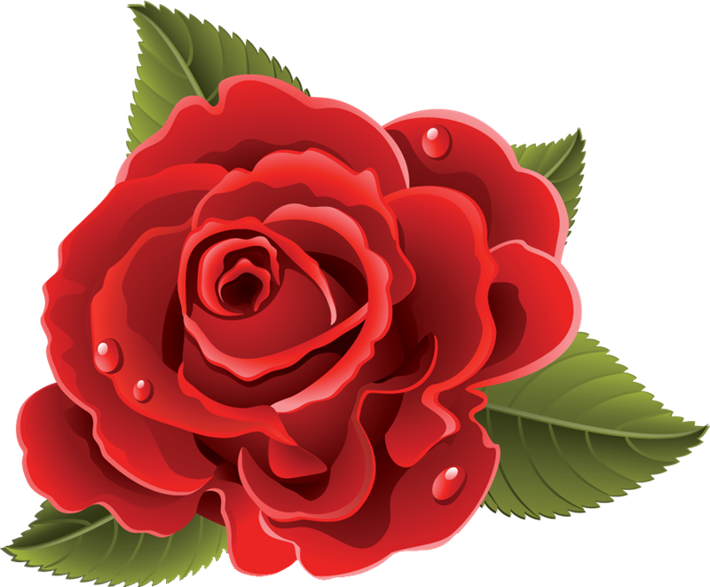 Otros Blogs Que Te Pueden Interesar - Rosas Rojas Para Recortar Clipart (800x661), Png Download