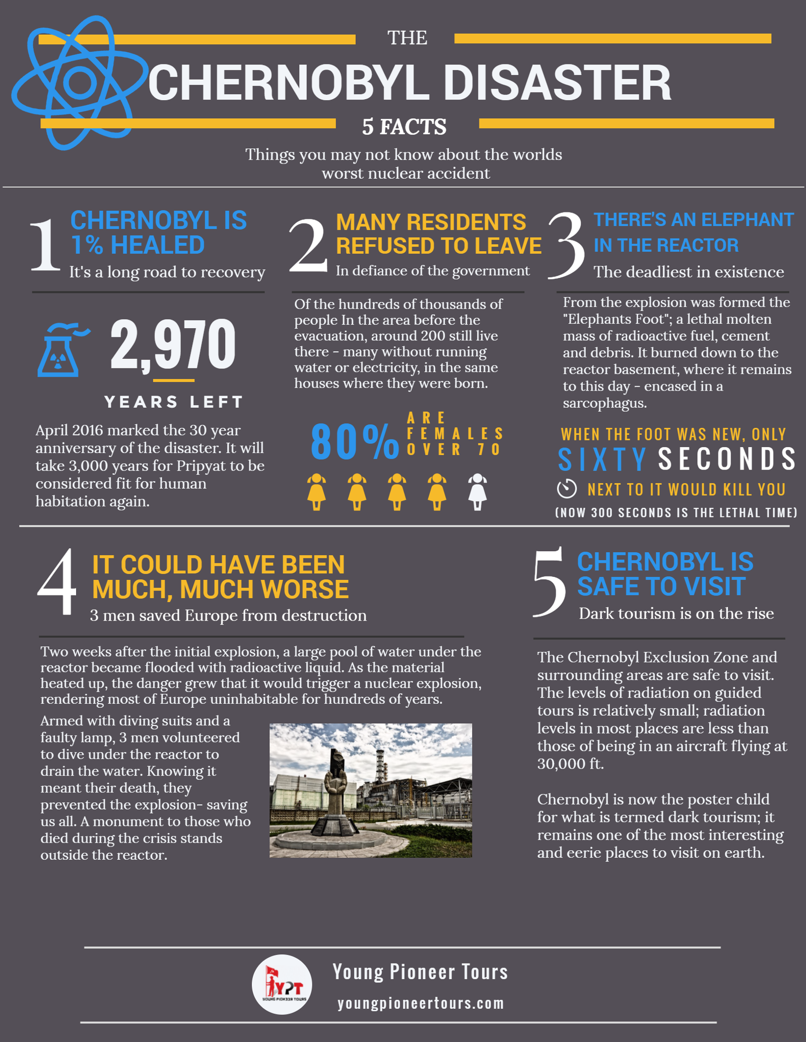 Chernobyl Is 1% Clean - Chernobyl Disaster Infographic Clipart (1600x2070), Png Download