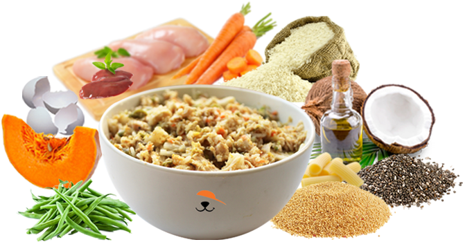 Juicy Chicken & Pasta - Carrot Clipart (773x403), Png Download