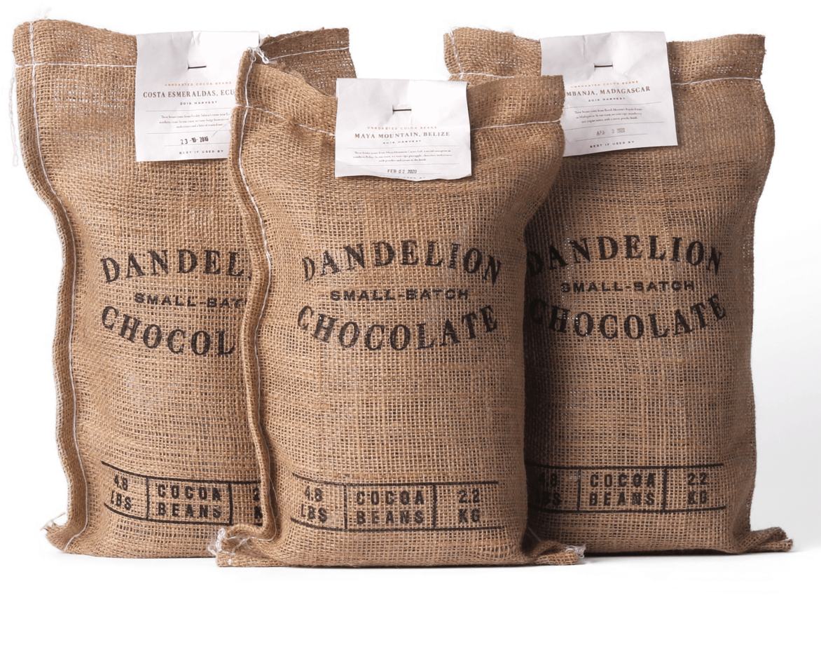 Cocoa Bean Png Clipart (1200x1200), Png Download