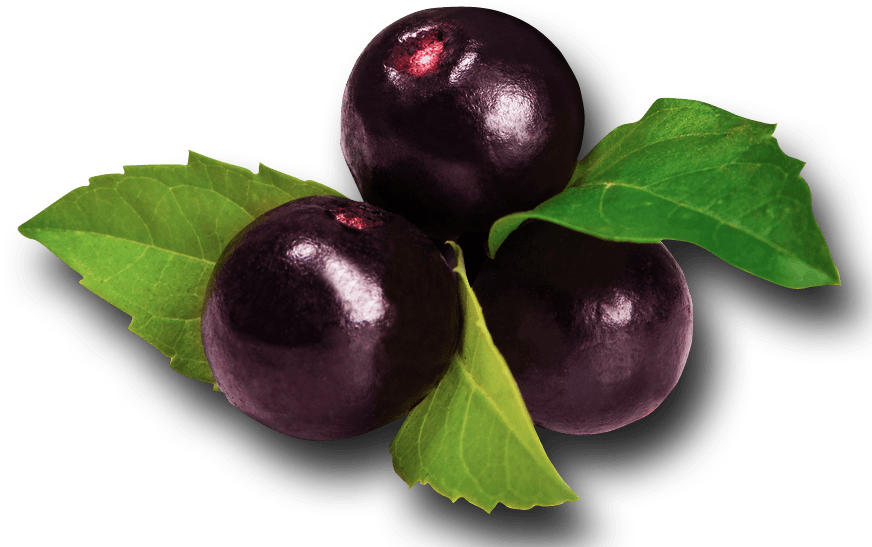 Acai Berries , Png Download - Transparent Acai Berries Png Clipart (872x547), Png Download