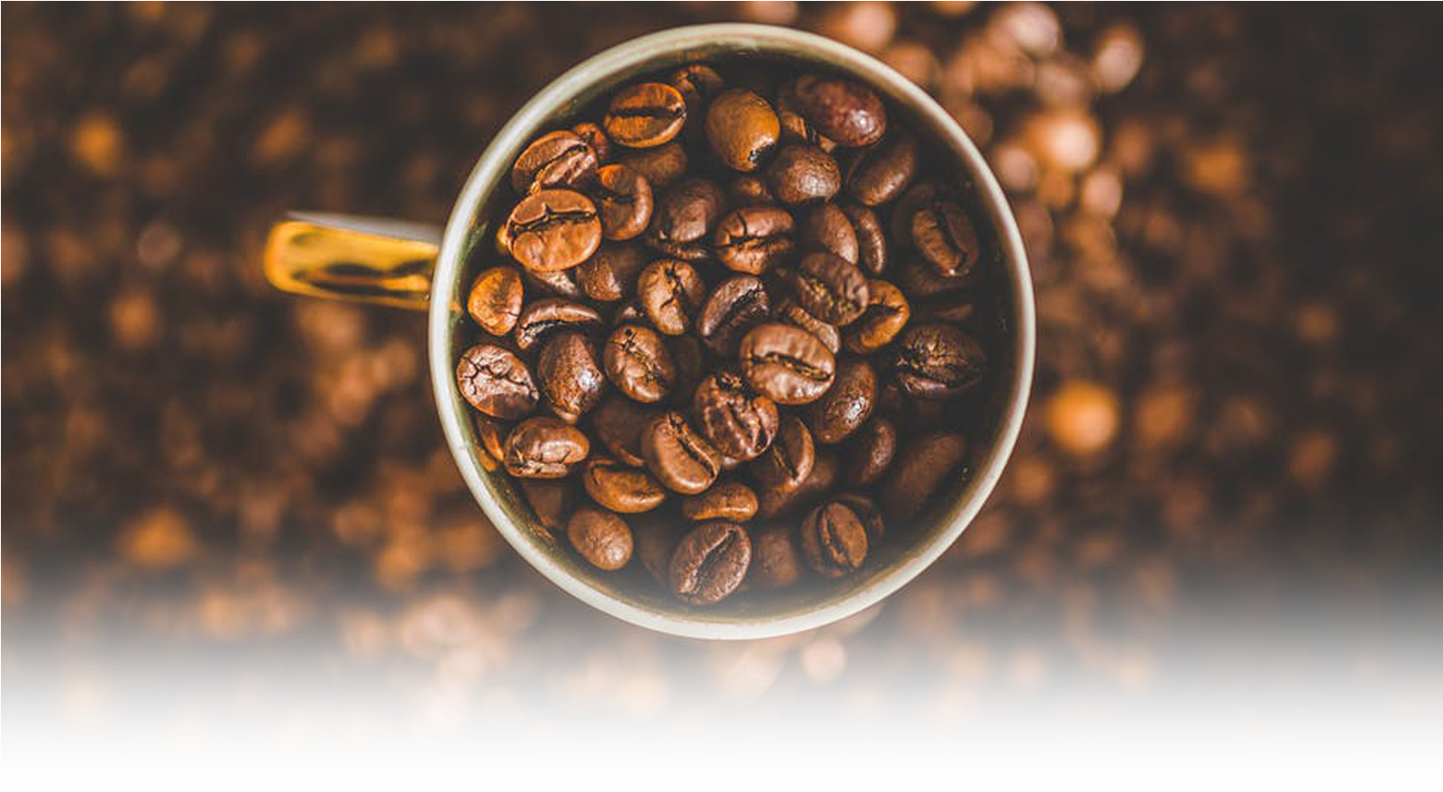 Freshly Roasted Coffee - Fresh Roasted Coffee Png Clipart (1600x900), Png Download