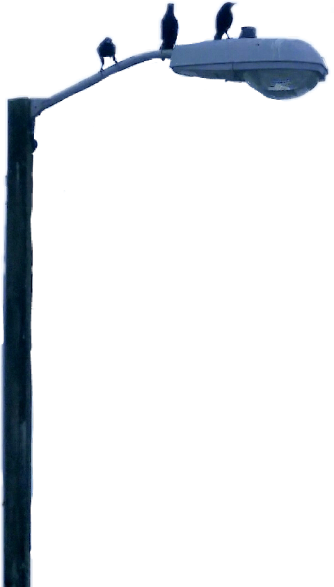 Street Light Clipart (480x844), Png Download