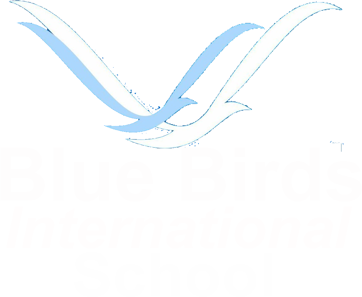 Blue Birds International School, Amroha Road, Near Blue Birds