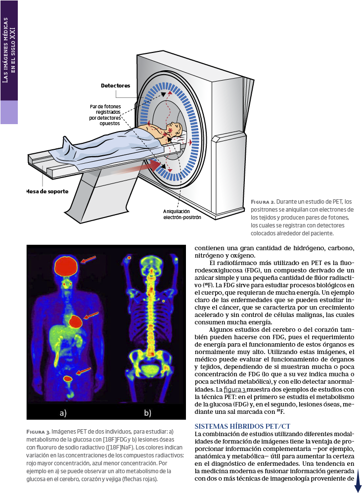 Centros De Investigación Conacyt , Png Download - Protest Tegen Langdurige Opsluiting Van De Remonstrantse Clipart (732x997), Png Download