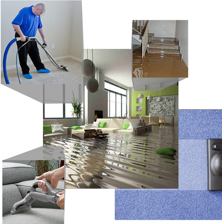 Carpet Cleaning East Orange, Nj Pros - Tybee Island Georgia Flood Clipart (800x800), Png Download