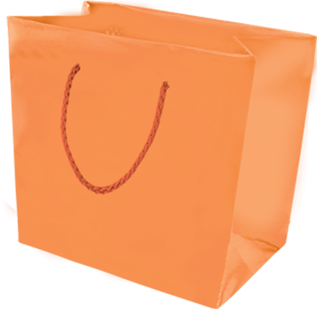 Picture Of Galleria Gift Bag - Orange Gift Bag Png Clipart (664x625), Png Download