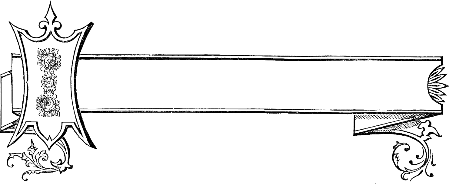 Here's A Lovely Label Digital Stamp That Could Be Used - White Borders And Frames Clipart (1600x707), Png Download