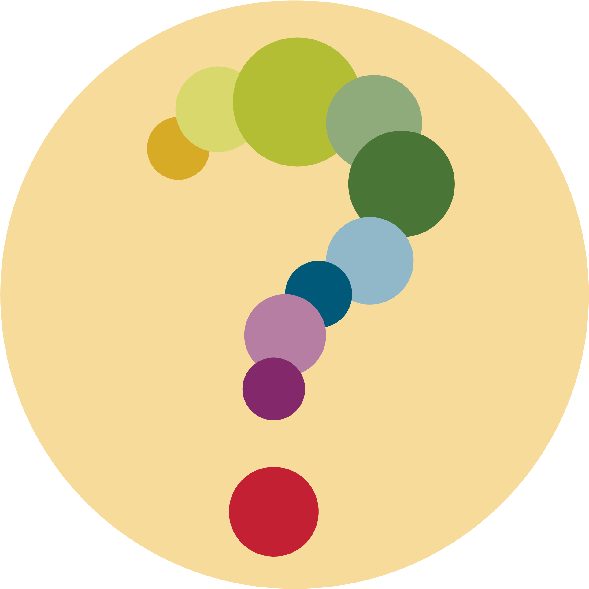 Circle Clipart (2000x2064), Png Download