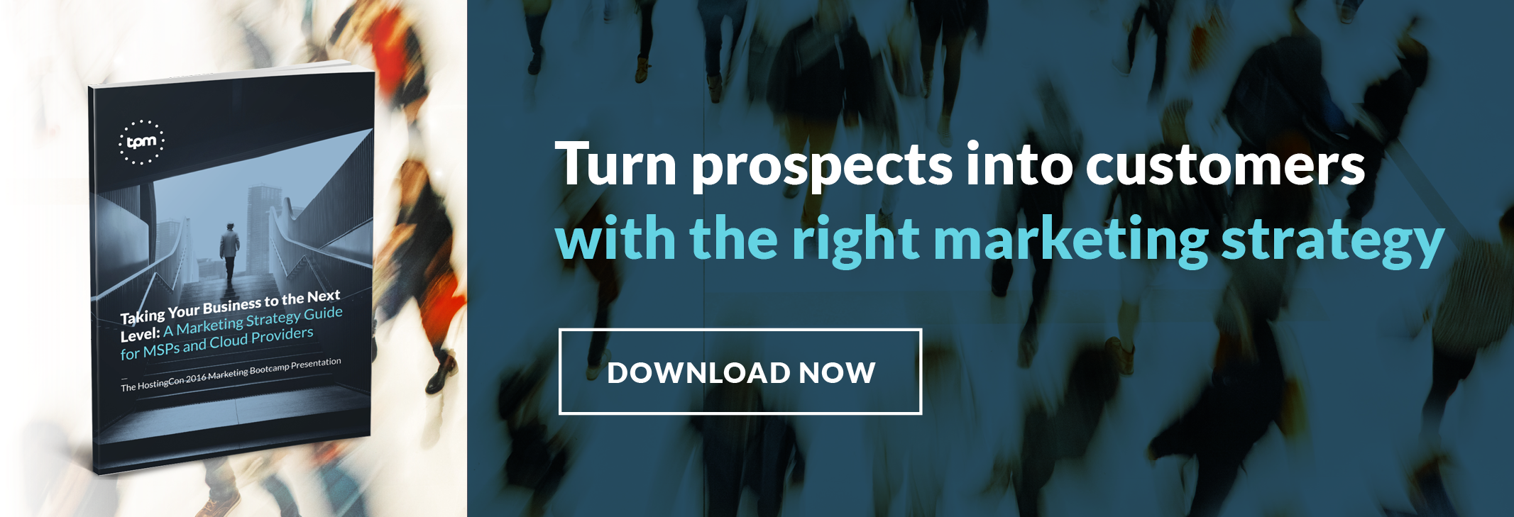 New Call To Action - Dolphin Clipart (2133x729), Png Download