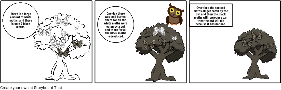 With And Black Moths - Cartoon Clipart (1164x385), Png Download