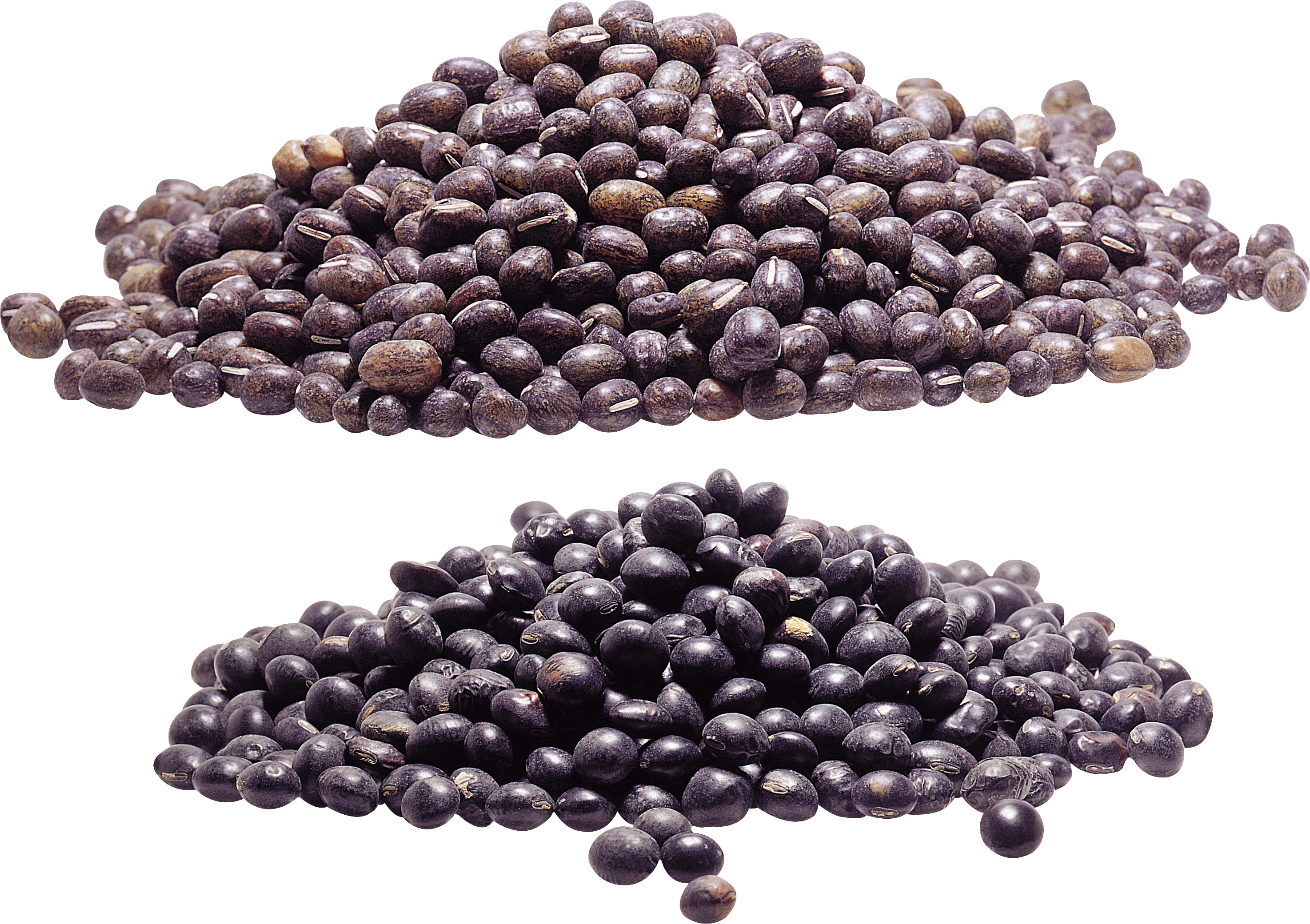 Kidney Beans Png - Bead Clipart (2948x2080), Png Download