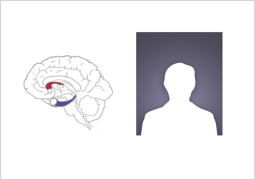 Why Some Training Doesn't Stick - Illustration Clipart (1043x735), Png Download