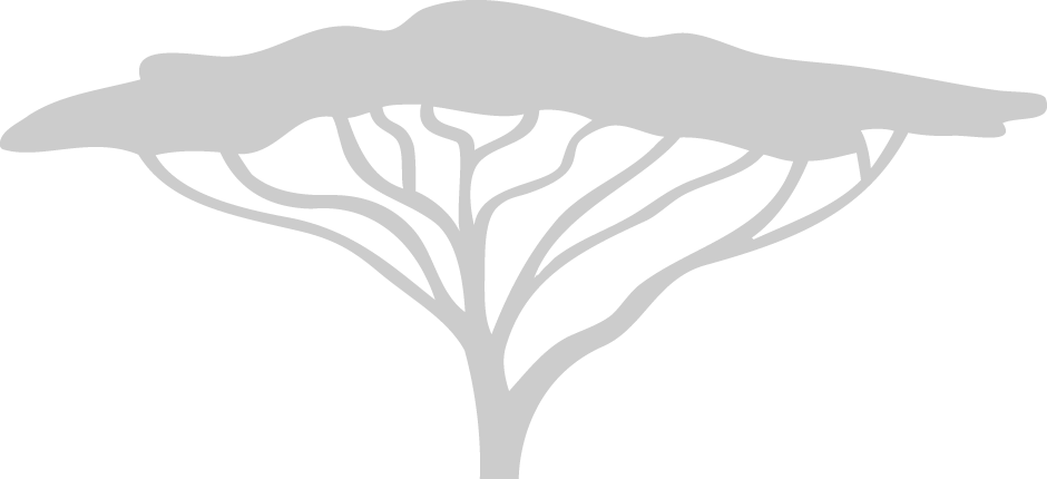 Box - Acacia Tree White Png Clipart (940x430), Png Download