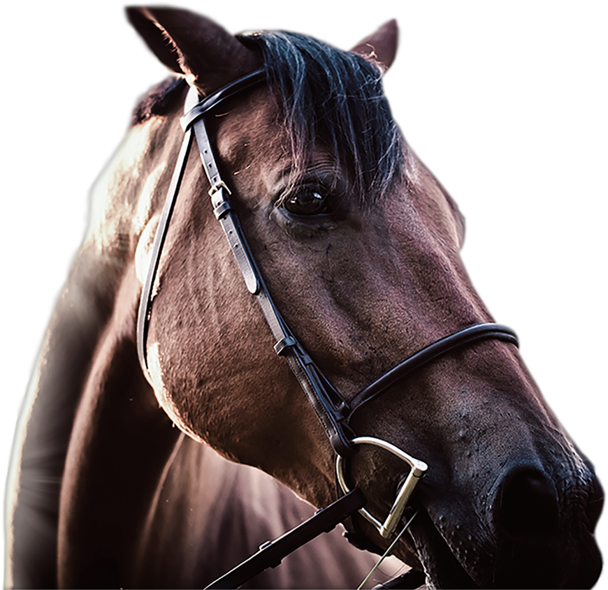 Racing Tournaments $300,000 Won Weekly Bet For Just Clipart (1000x1080), Png Download