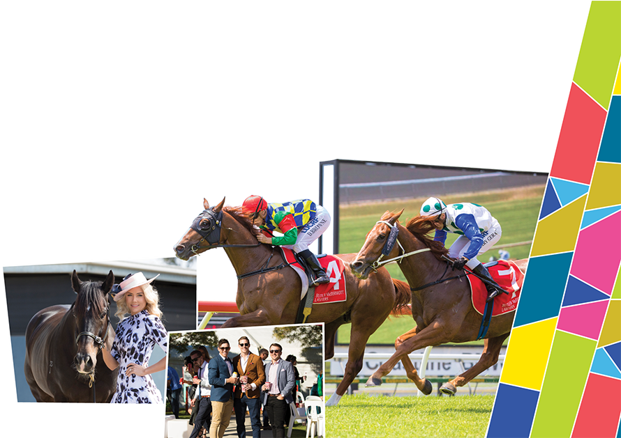 Home - Flat Racing Clipart (1200x628), Png Download