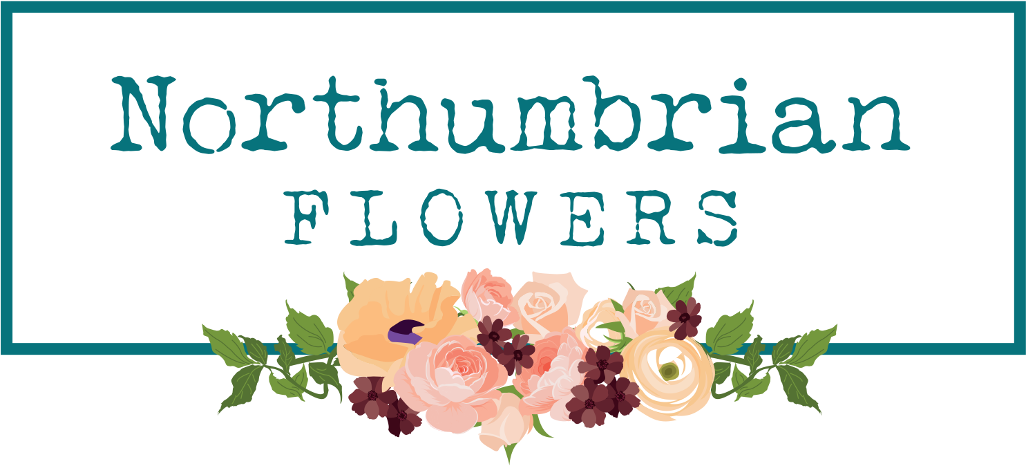 Growing British Flowers In The Heart Of Northumberland - Troma Entertainment Clipart (1653x799), Png Download