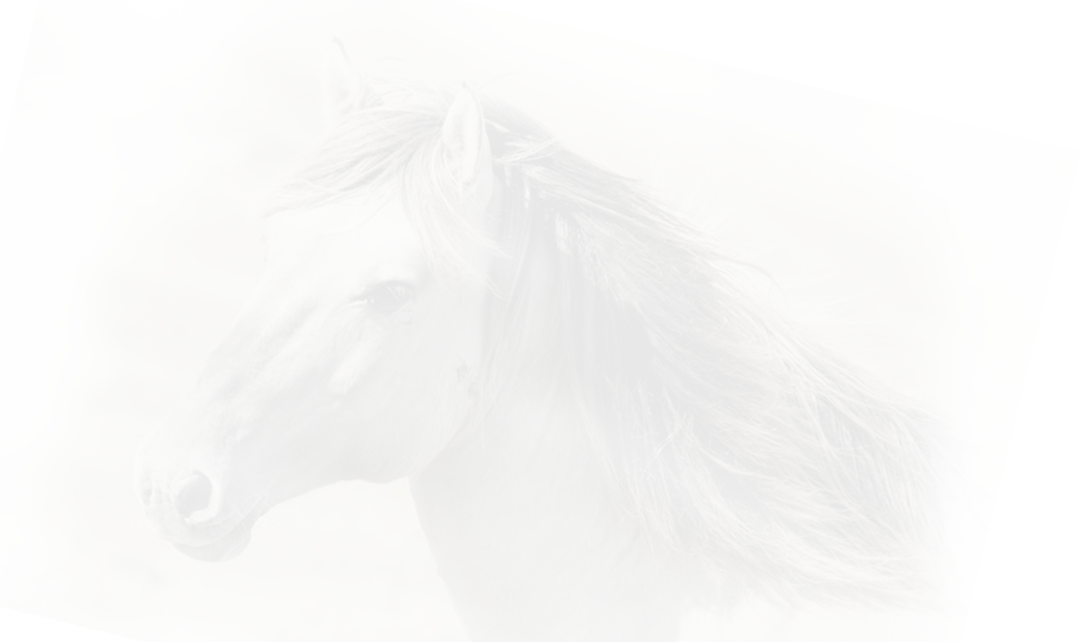 Cavalo-marca - Sketch Clipart (1080x642), Png Download