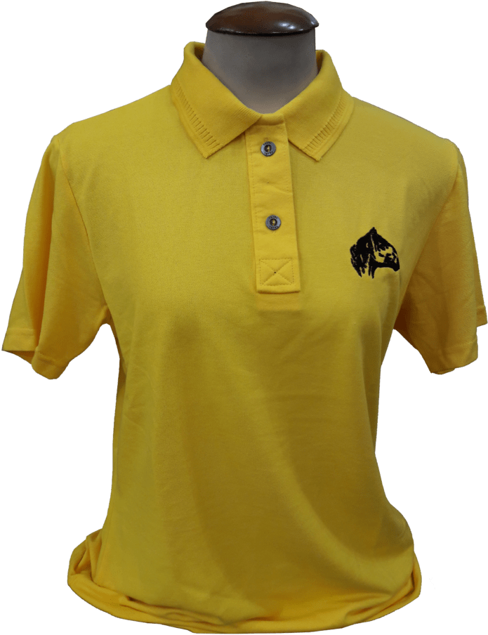 Camisa Polo Feminina Cavalo Crioulo Ref - Polo Shirt Clipart (768x1024), Png Download