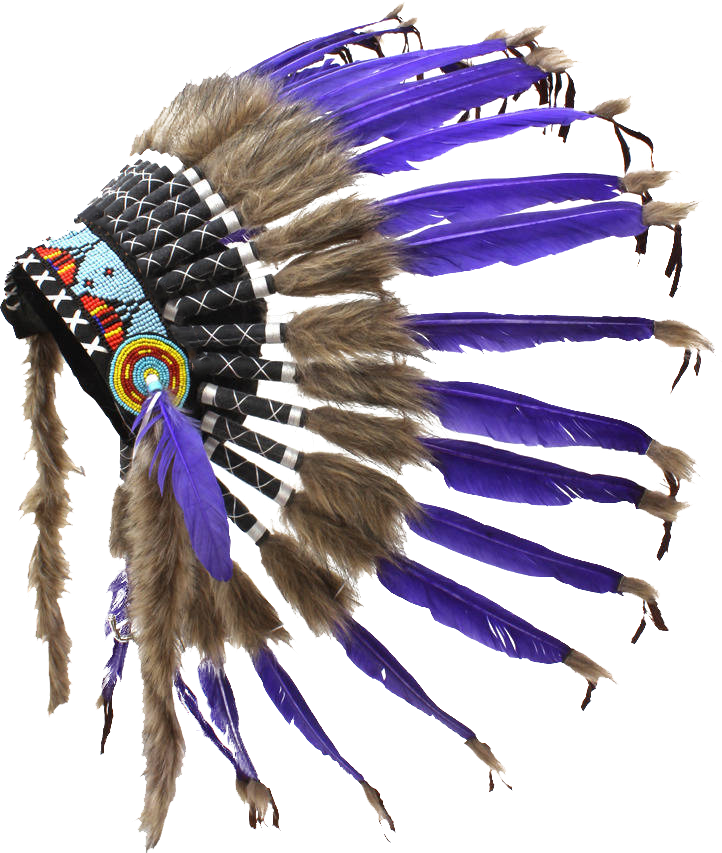Indian Feather Png Clipart (722x853), Png Download