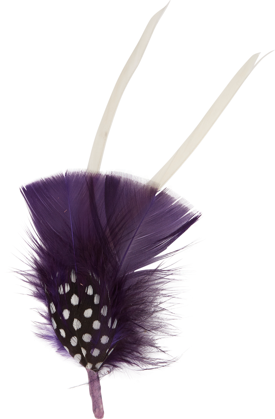 Feather Clipart (2000x2000), Png Download