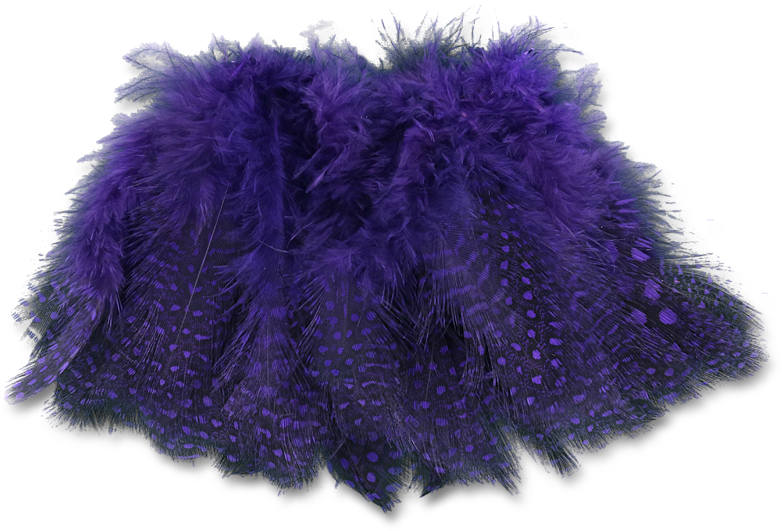 Select Guinea Body Feathers - Velvet Clipart (800x800), Png Download